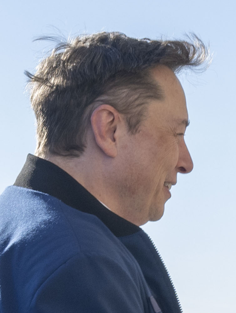 Elon Musk portrait